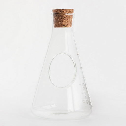 Kit terrarium de labo dans une fiole d'Erlenmeyer