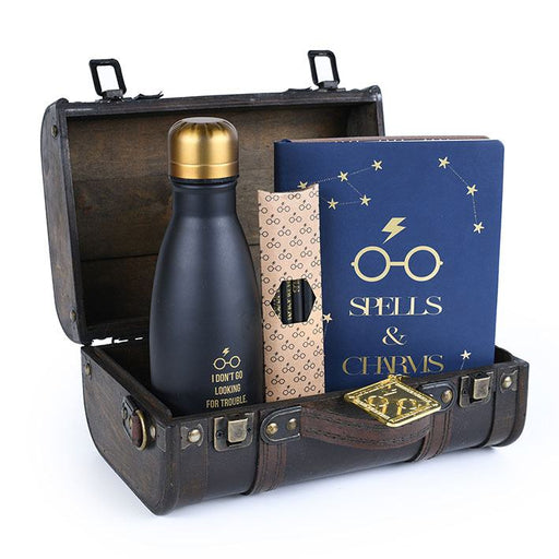 Coffret cadeau Harry Potter Trouble Finds Me