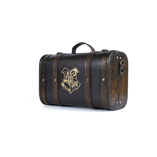 Coffret cadeau Harry Potter Trouble Finds Me