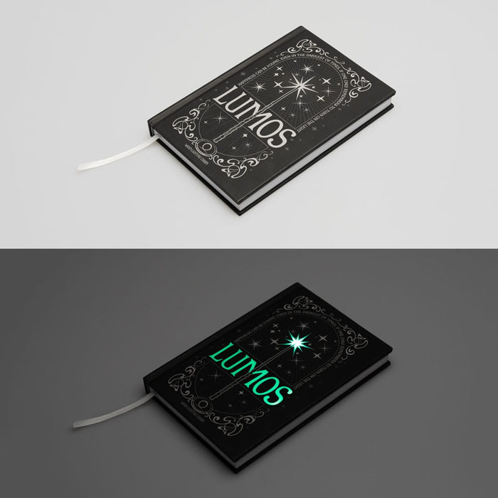 Harry Potter Lumos notebook with wand