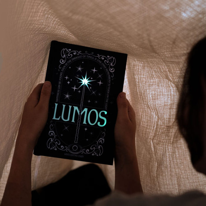 Harry Potter Lumos notebook with wand