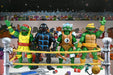 Teenage Mutant Ninja Turtles Stump Wrestling Actiefiguren 4-pack (Archie Comics)