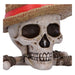 One Piece Aufbewahrungsbox Ruffys Jolly Roger